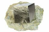 Shiny, Natural Pyrite Cube In Rock - Navajun, Spain #131153-1